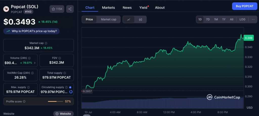 Popcat price surge chart from CoinMarketCap showing recent token trends