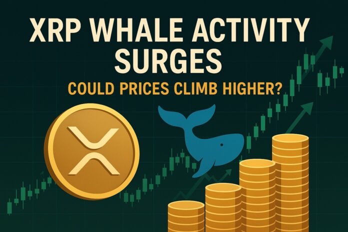 XRP Whale Activity depicted as large digital whales swimming through rising XRP token icons, illustrating recent accumulation trends