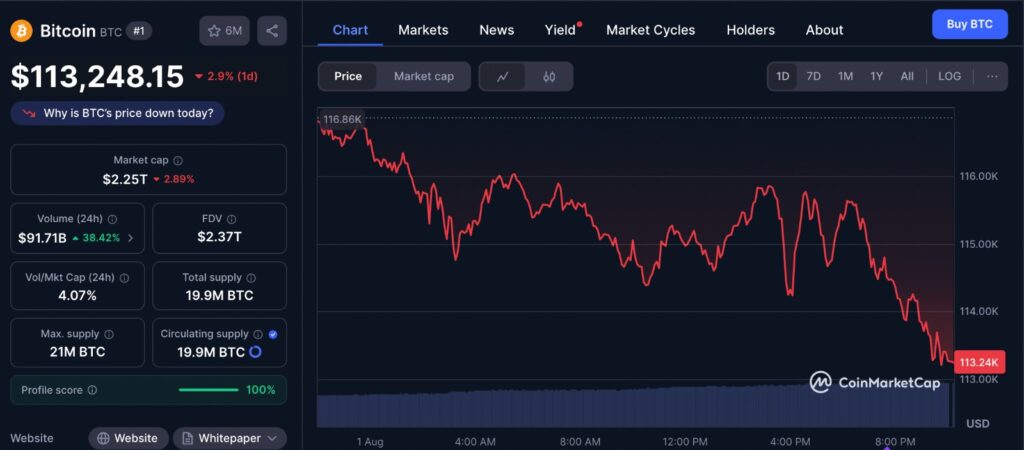 Bitcoin price chart showing recent price movements and the key Bitcoin $110K test level