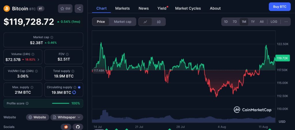 Bitcoin strategy chart showing BTC price trends over the past month from CoinMarketCap, reflecting market volatility and long-term investment outlook