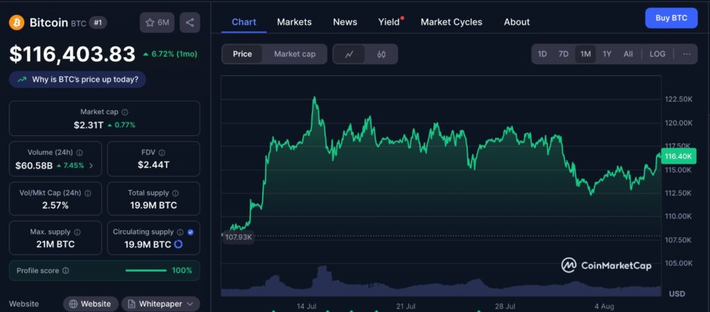 Bitcoin price chart showing one month of price movements and Binance altcoin deposits impact on market trends.