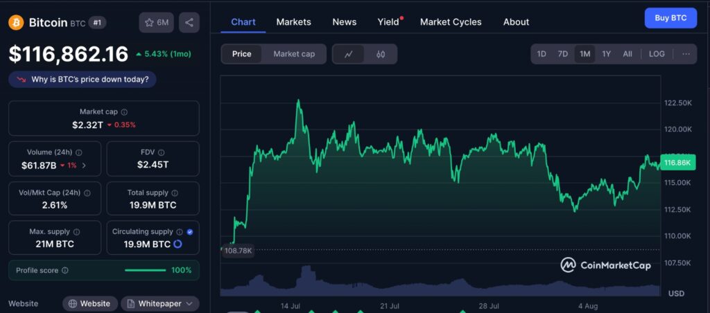 Bitcoin price chart showing the current performance and fluctuations over the past month, reflecting trends in the Bitcoin dominance chart.