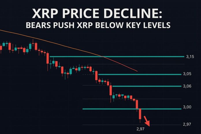 XRP price decline: chart showing XRP falling below key levels including $3.00 and the 100-hour simple moving average.