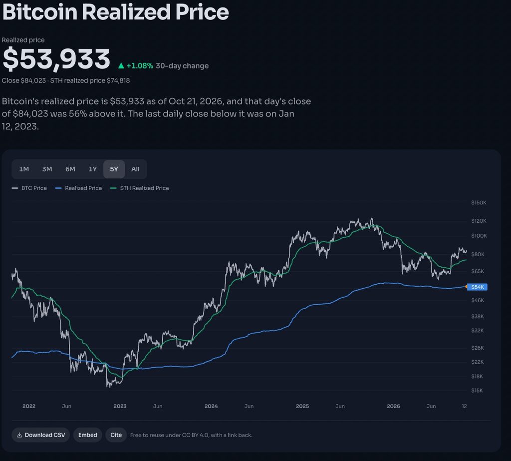 Bitcoin Realized Price chart comparing BTC market price, aggregate realized price, and short-term holder cost basis to illustrate investor profitability and potential selling pressure.